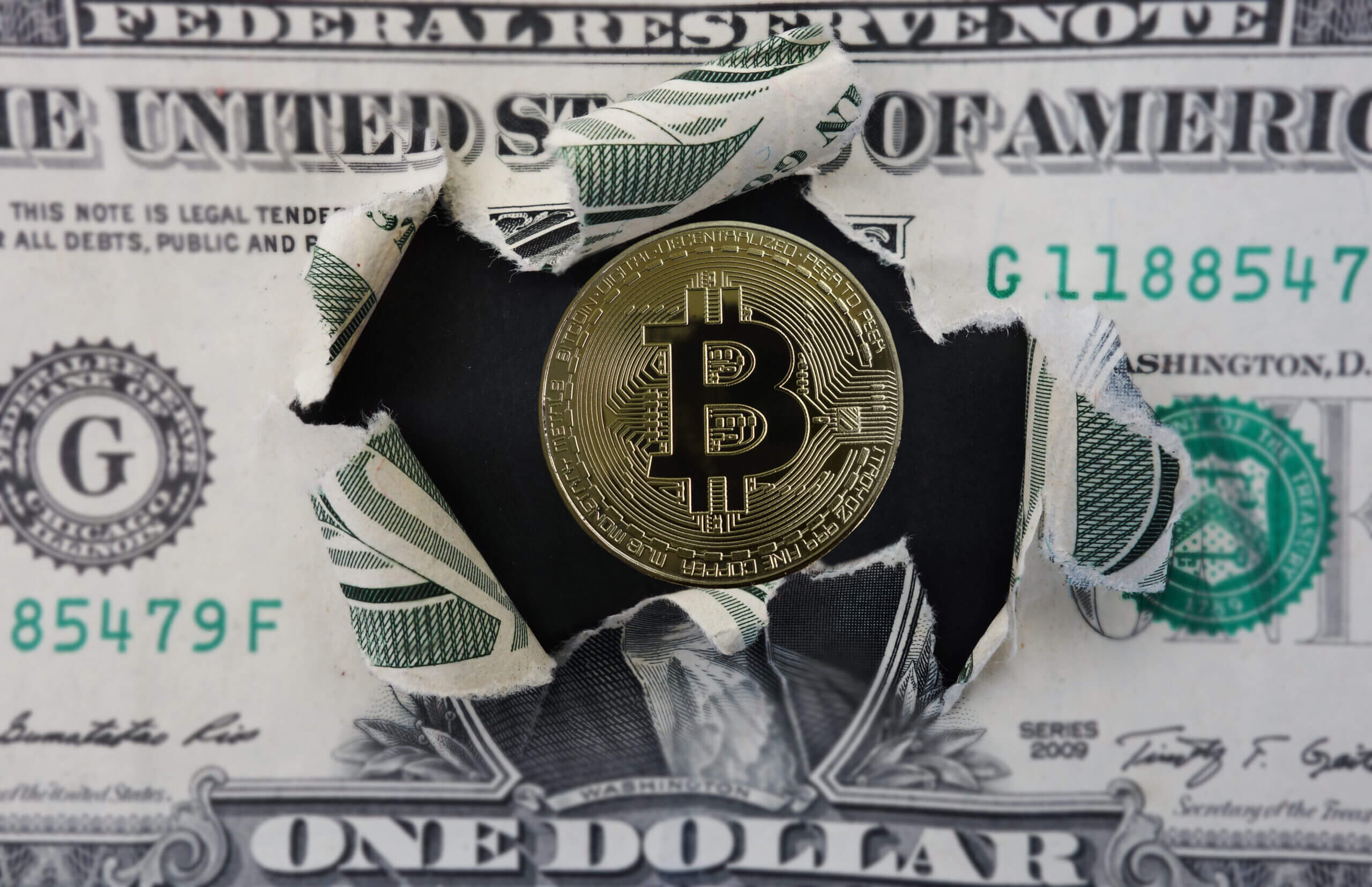 Bitcoin Rips Money