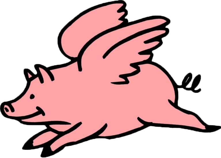 Flying Pig